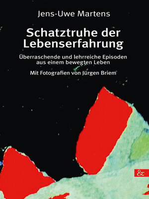 cover image of Schatztruhe der Lebenserfahrung